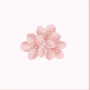 HD性の欲びの熟女丿
