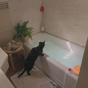 狠狠色丁香五月综合缴情婷婷五月
