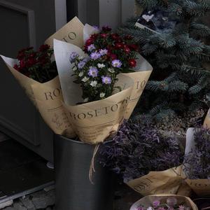 91com永久免费在线看在线看
